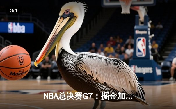 NBA总决赛G7：掘金加时险胜热火 约基奇三双锁定FMVP - 3